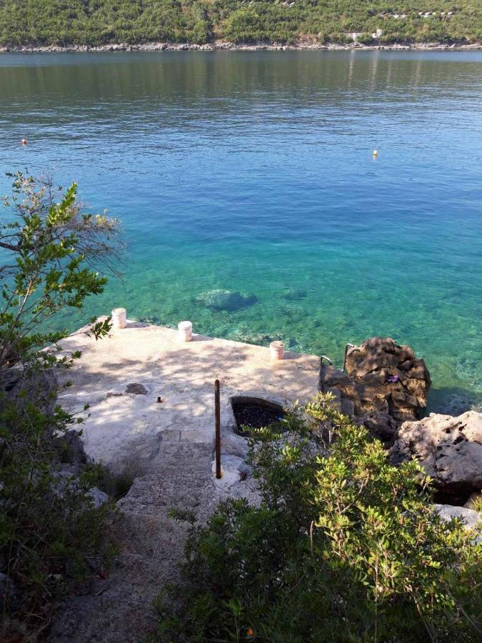 Beaute De La Mer Kotor Zewnętrze zdjęcie